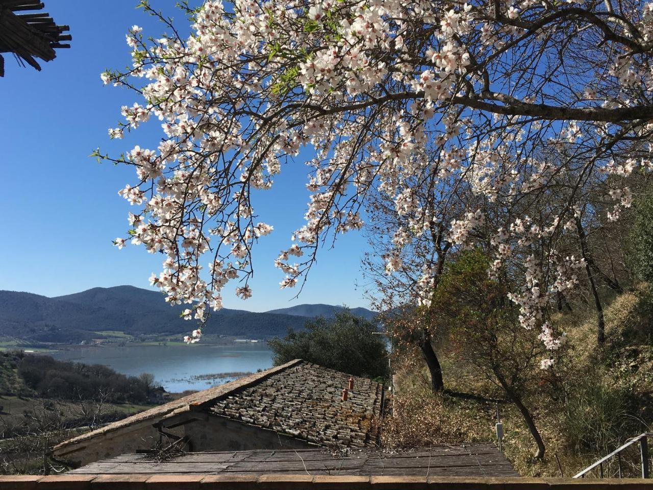 Podere Monte Petreto San Savino  Exterior foto